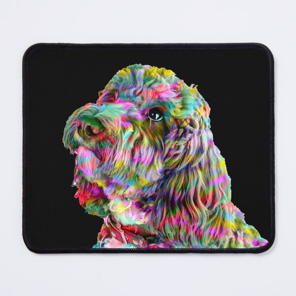 Artikelvorschau, Bunter Cockapoo entworfen und verkauft von Paul Thompson Photography.