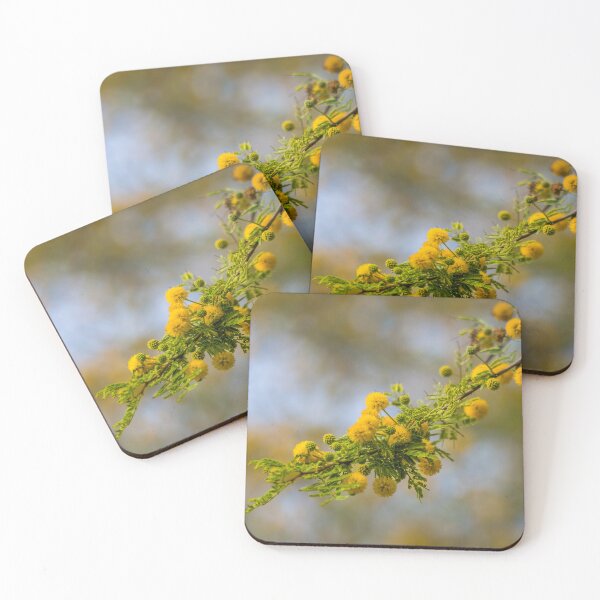 Item preview, Flowering Huisache Branch designed and sold by Debra Martz.