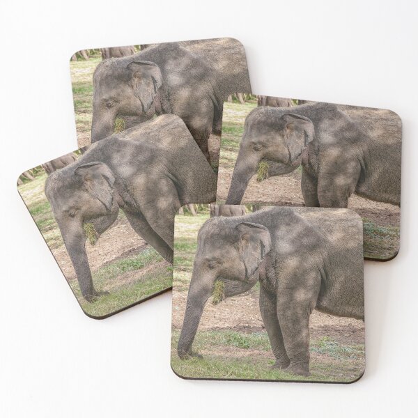 Item preview, Elephant eating grass designed and sold by Photopat.