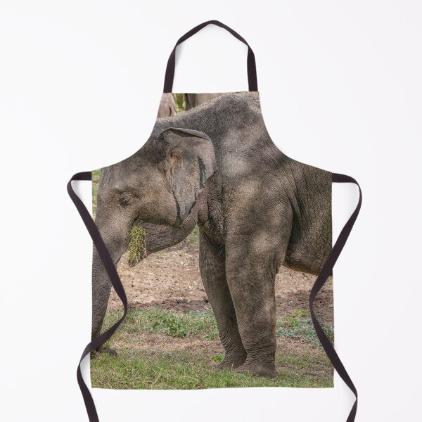 Item preview, Elephant eating grass designed and sold by Photopat.