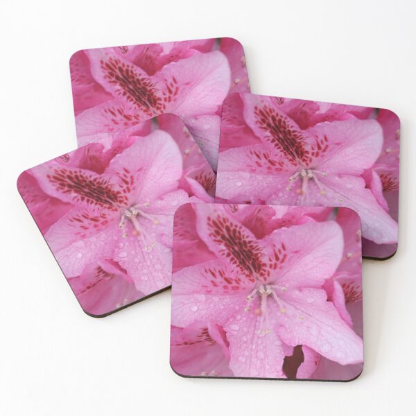 Item preview, Pink Rhododendron with Rain Drops designed and sold by Charlotte-3103.