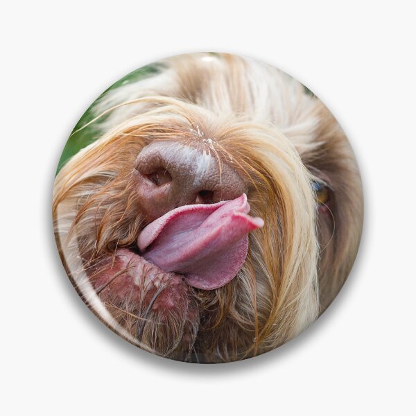 Item preview, Delicious tasty Spinone  by heidiannemorris designed and sold by FOLK ART FUSION by heidiannemorris.
