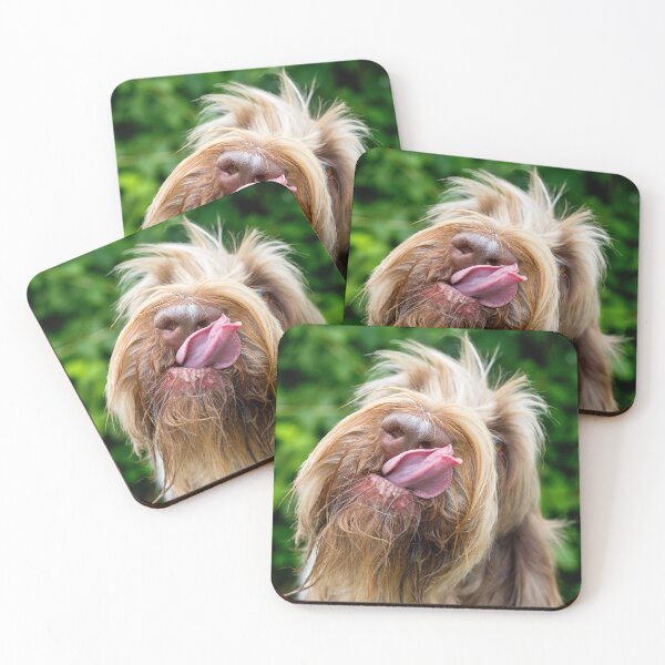 Item preview, Delicious tasty Spinone  by heidiannemorris designed and sold by FOLK ART FUSION by heidiannemorris.