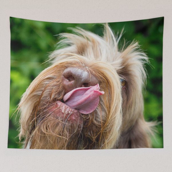 Item preview, Delicious tasty Spinone  by heidiannemorris designed and sold by FOLK ART FUSION by heidiannemorris.