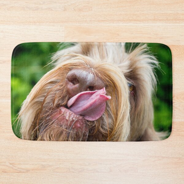 Item preview, Delicious tasty Spinone  by heidiannemorris designed and sold by FOLK ART FUSION by heidiannemorris.