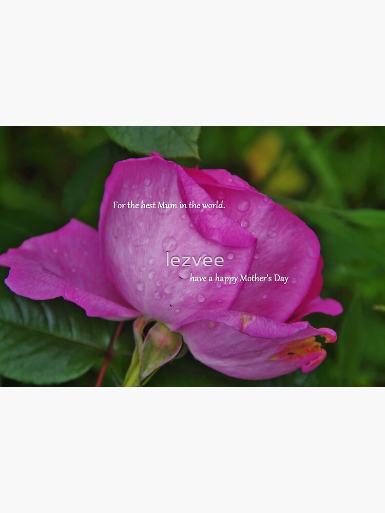 rose called mum in a million