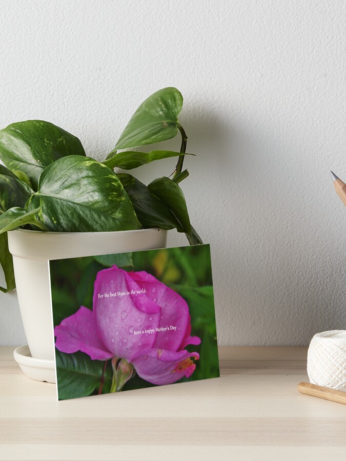 rose called mum in a million