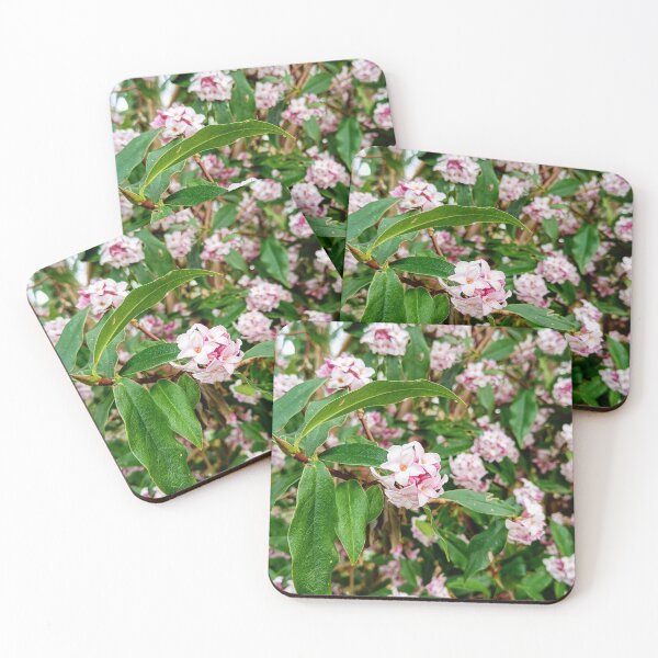 Item preview, Blossom designed and sold by Oubaitory.