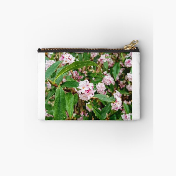 Item preview, Blossom designed and sold by Oubaitory.