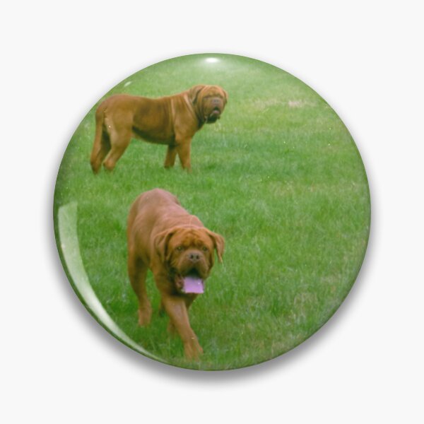 Item preview, Photography walking two dogs Dogues de Bordeaux designed and sold by Carré Comme Orange.