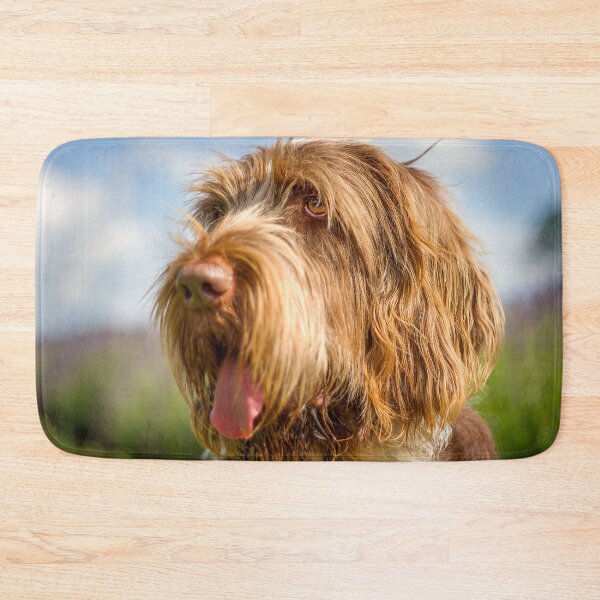Item preview, Always blue skies Spinone by heidiannemorris designed and sold by FOLK ART FUSION by heidiannemorris.