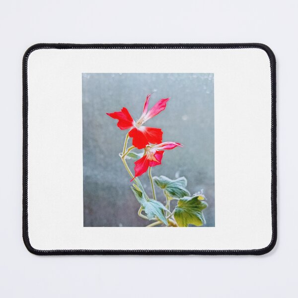 Item preview, Geranium  designed and sold by Oubaitory.