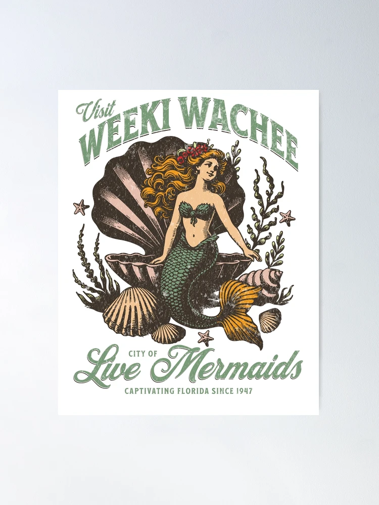 額装済/アートポスター/Weeki Wachee Spring Florida 額装済/アートポスター/Weeki Wachee Spring Florida