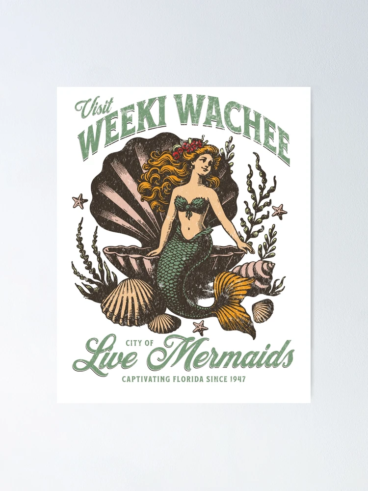 fposter,small,wall_texture,