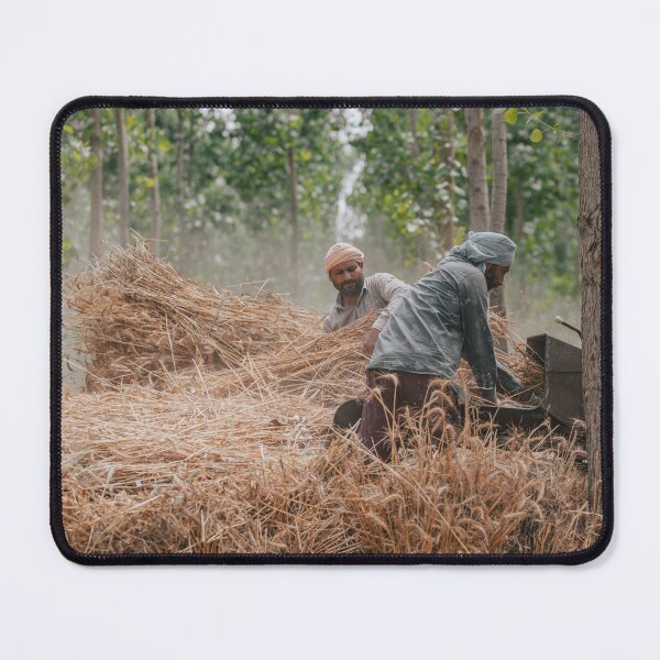 Item preview, Wheat Harvesting in Punjab designed and sold by RajeevKashyap.