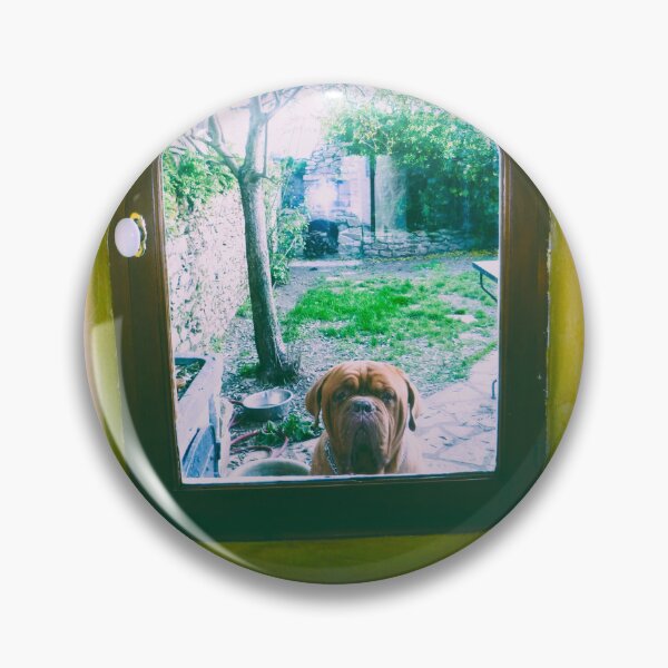 Item preview, Dogue de Bordeaux dog photography at the window designed and sold by Carré Comme Orange.