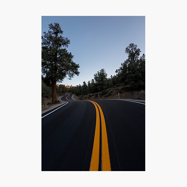 California Snake Road Fotodruck