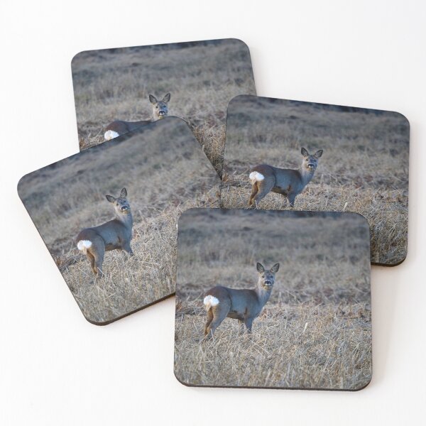 Item preview, After the sunset on the fields. Roe deer designed and sold by Jouko Lehto Photography.