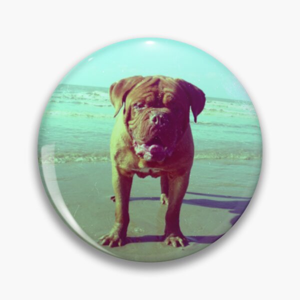 Item preview, Dogue de Bordeaux dog photography at the beach designed and sold by Carré Comme Orange.