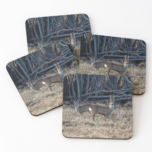 Item preview, Young love. Roe deer designed and sold by Jouko Lehto Photography.