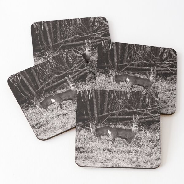 Item preview, Young love. Roe deer bw designed and sold by Jouko Lehto Photography.