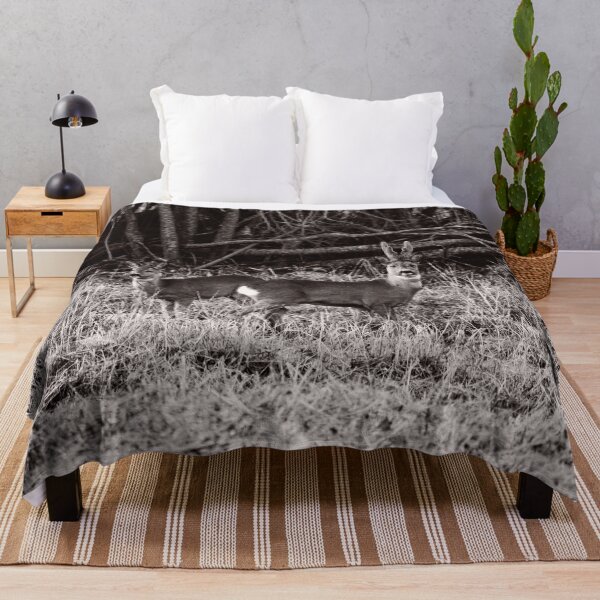 Item preview, Young love. Roe deer bw designed and sold by Jouko Lehto Photography.
