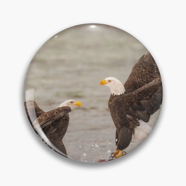 Item preview, Food Fight Haines Alaska designed and sold by PhotoArt by Joan Carroll.