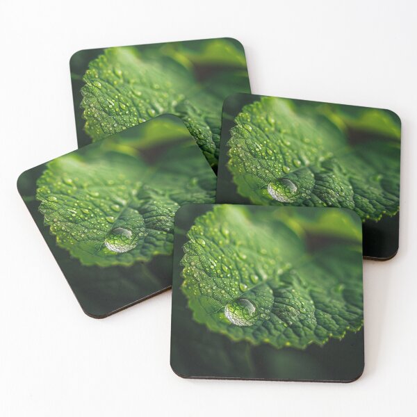 Item preview, A Drop on a Leaf designed and sold by KingAbyss.