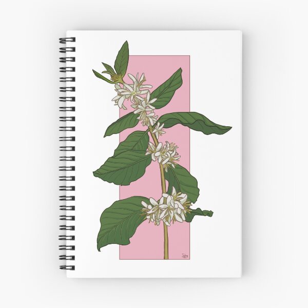 Item preview, Coffee Blossom | Coffea arabica designed and sold by inkythoughts.