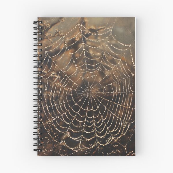 Item preview, Cobweb designed and sold by KingAbyss.