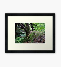 The Fairy's Enchanted Kingdom Framed Print