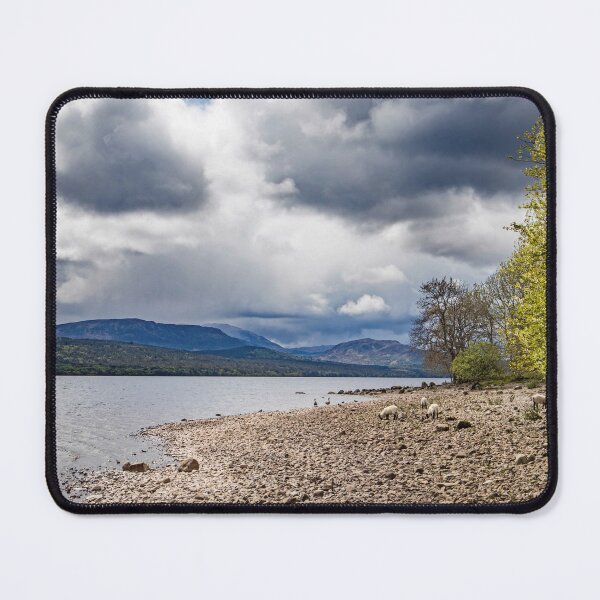 Item preview, Beach Combing designed and sold by maureen bracewell.