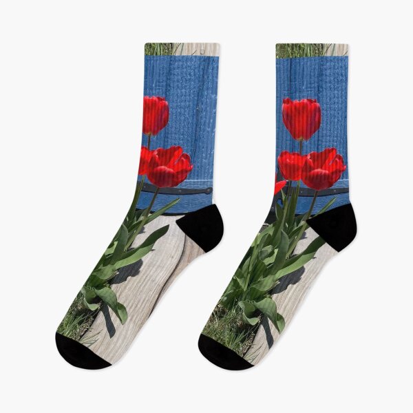 Item preview, Red Tulips in front of a Blue Door  designed and sold by Amanda1775.