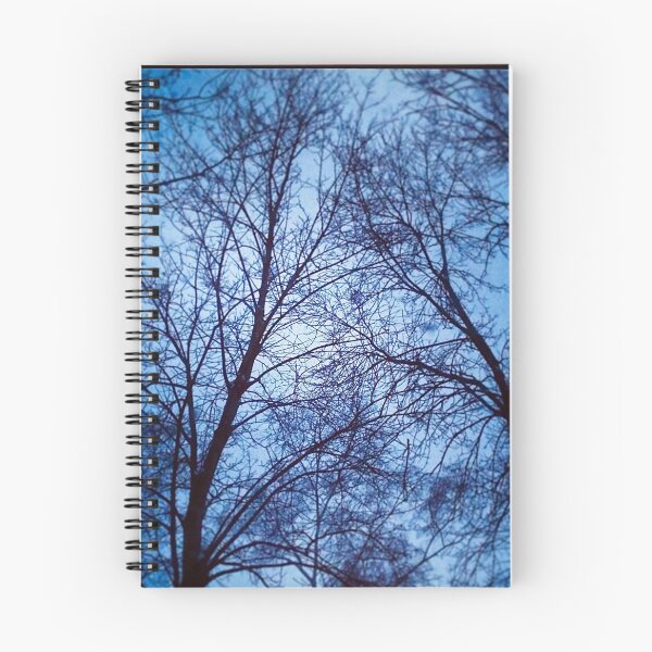 Item preview, Bare Trees designed and sold by Rachel Imsland.