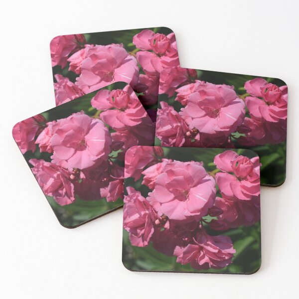 Item preview, Pink Oleander flowers designed and sold by CatherineMoore4.