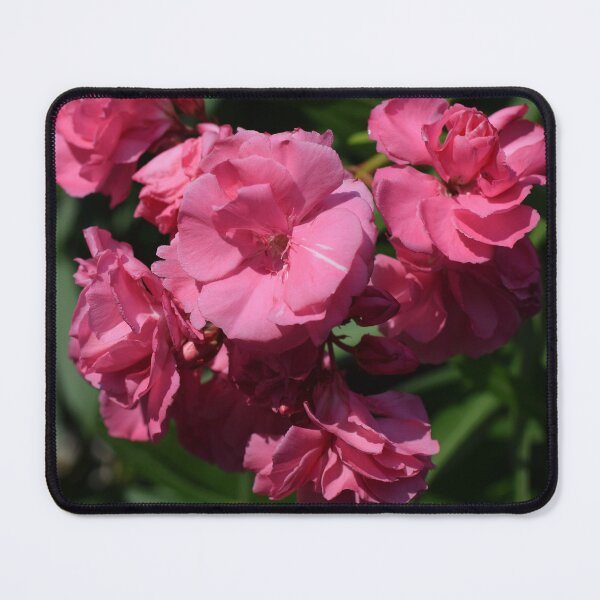 Item preview, Pink Oleander flowers designed and sold by CatherineMoore4.