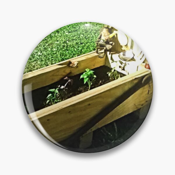 Item preview, Down on the Bayou Planter's Box Design designed and sold by trailsitravel.