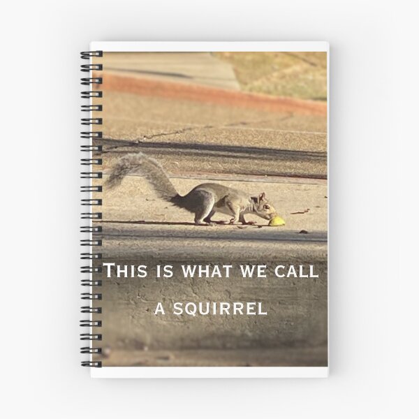 Item preview, Squirrel designed and sold by Rebelsrule22.