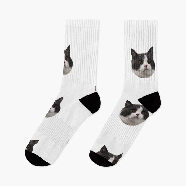 Item preview, Funny Kitties Sticker-pack designed and sold by Onestop Shop.