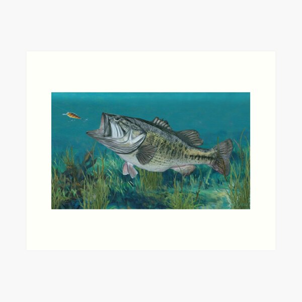 Largemouth Bass | Art Print