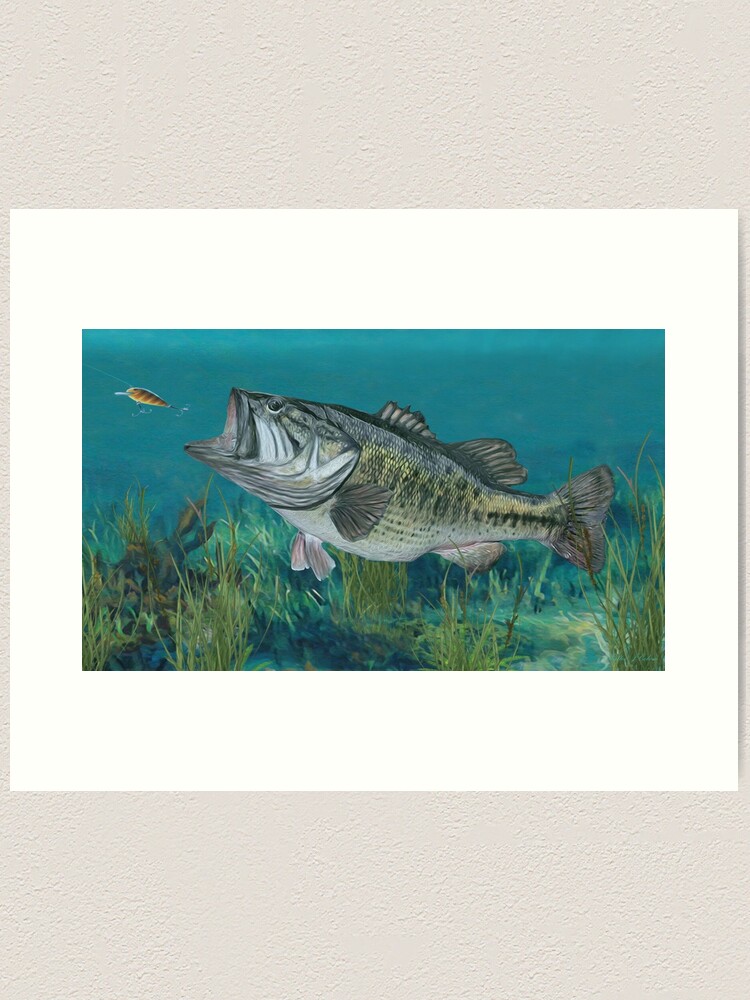 Largemouth Bass Art Print for Sale by Walter Colvin