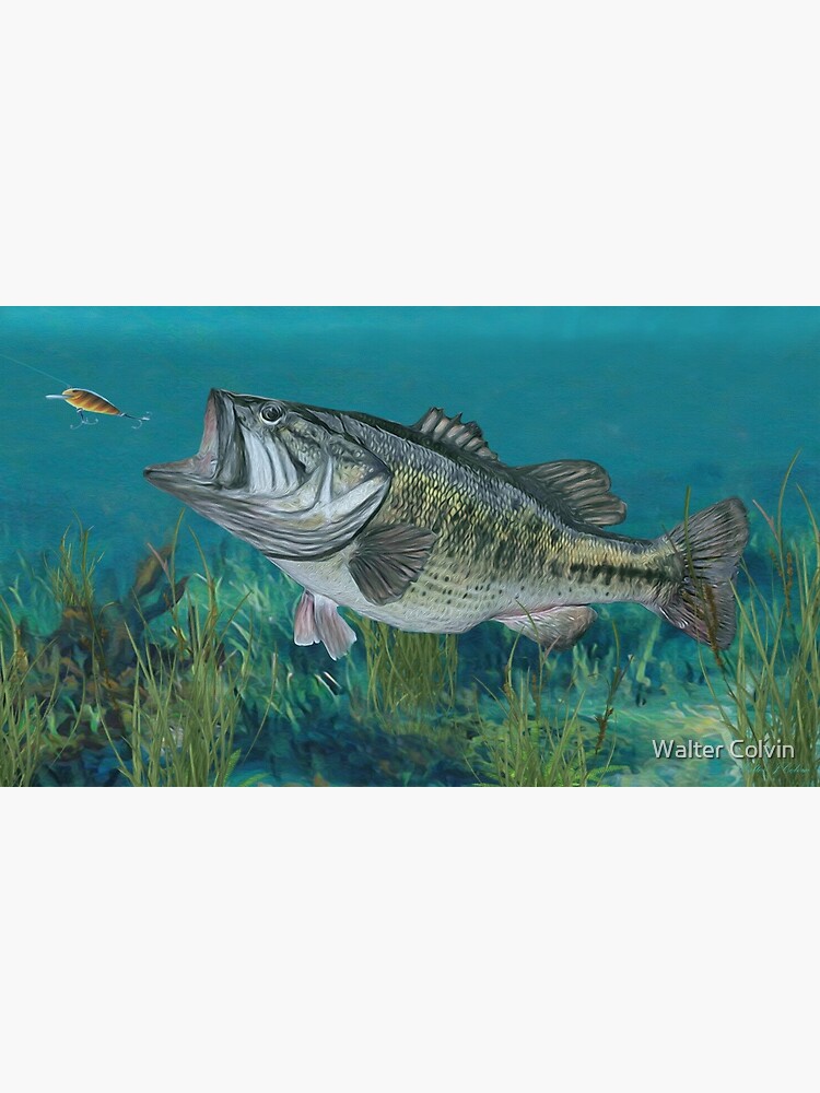 Largemouth Bass Poster for Sale by Walter Colvin