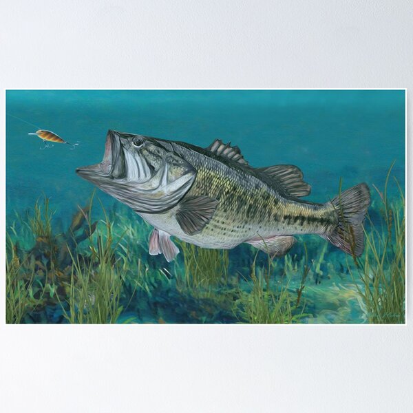Fish Pictures for Wall Largemouth Bass Fish Wall Decor Fishing Underwater  Animal Poster Bathroom Decor Interior Paintings Ready to Hang (28x42  (70x105cm) Framed) 