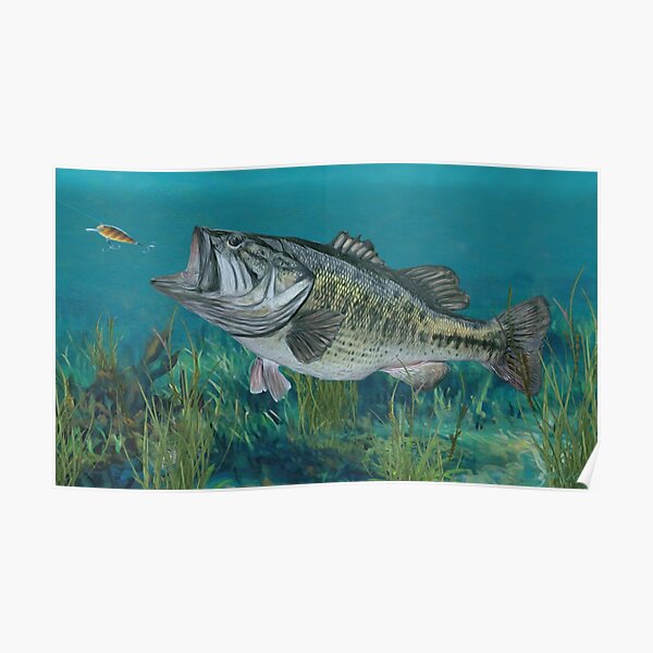 Largemouth Bass Poster