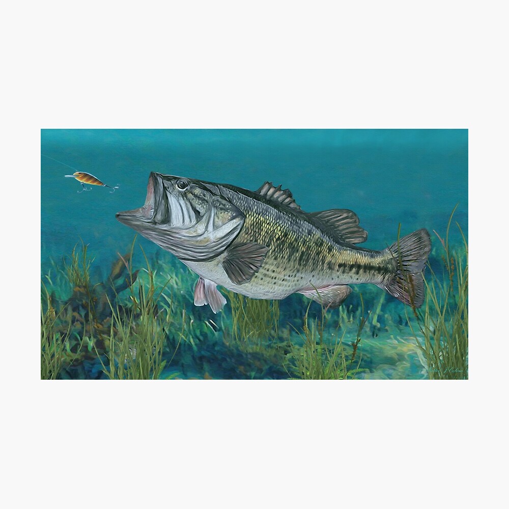 Hit & Run - Largemouth Bass PRINTS – Art of Nature Dist.