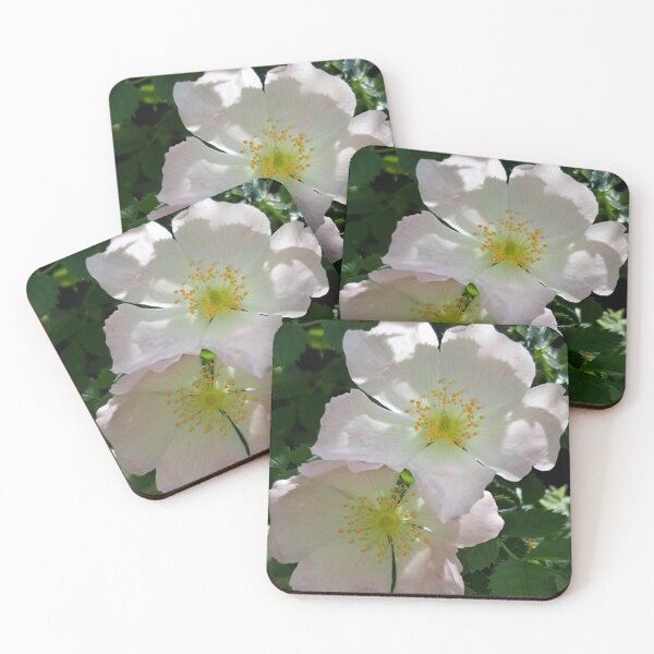 Item preview, Wild Rose designed and sold by amanda150771.