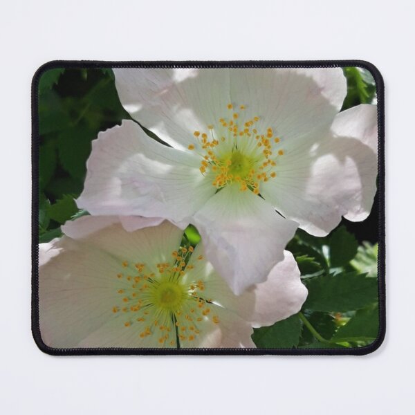 Item preview, Wild Rose designed and sold by amanda150771.