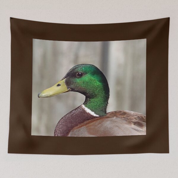 Item preview, Drake Mallard Portrait II designed and sold by Deb Oppermann.