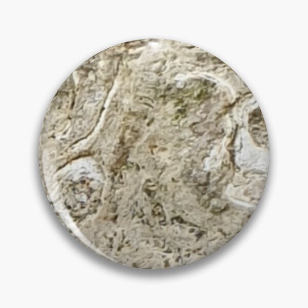 Item preview, Fossils  designed and sold by amanda150771.