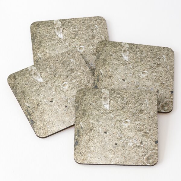 Item preview, Fossils  designed and sold by amanda150771.